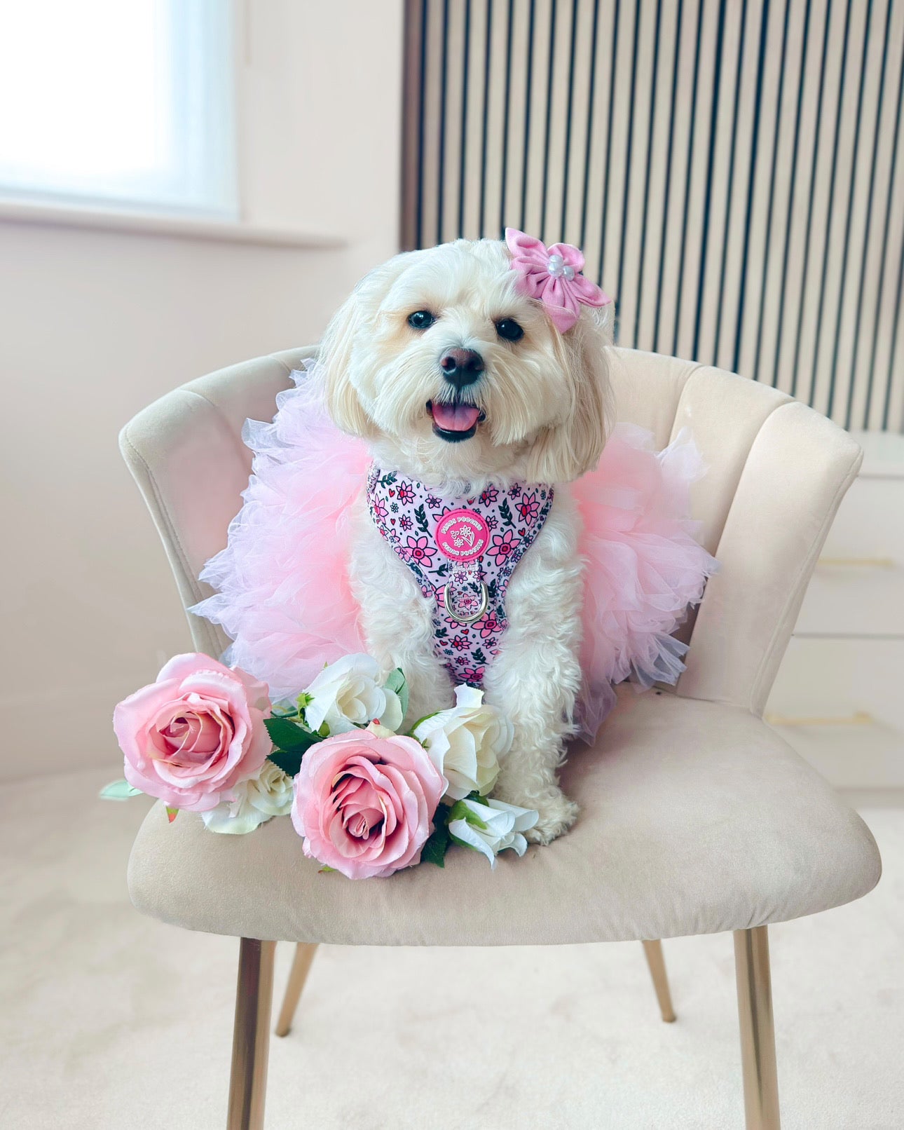 You Make Me Daff! Valentines Edition Harness