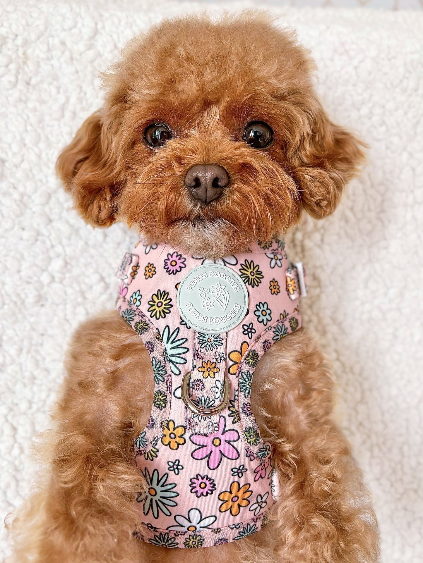 Floral Frenzy Harness