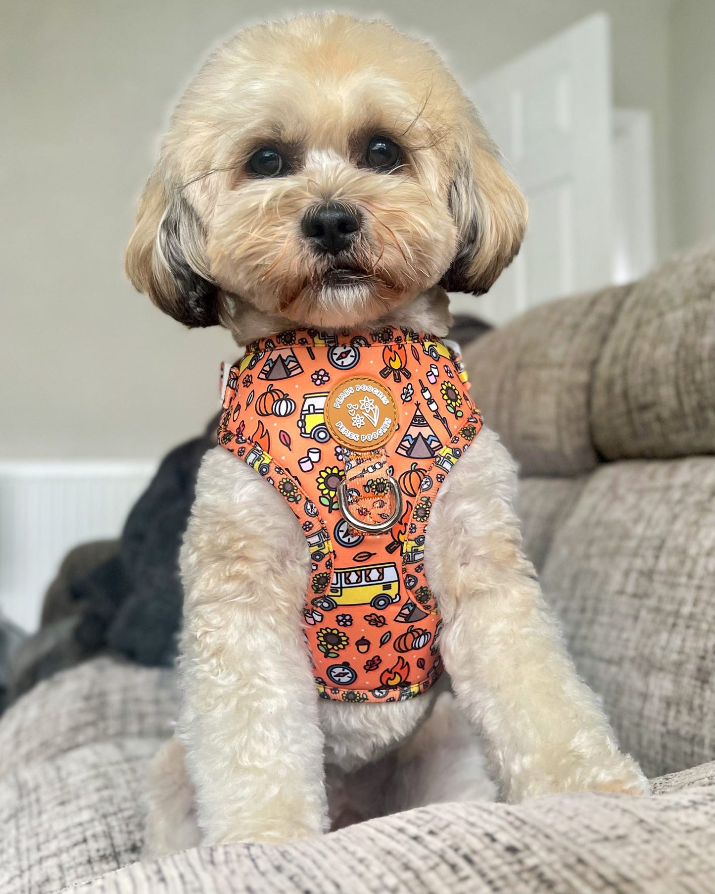 Paws and S’mores Harness
