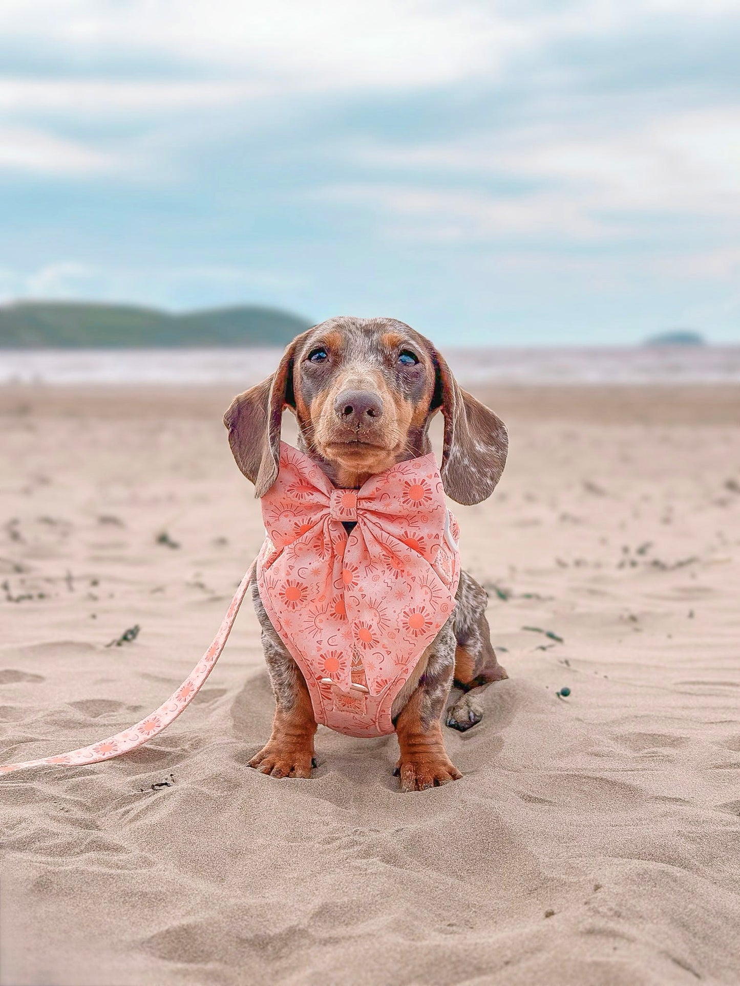 Golden Hour Harness