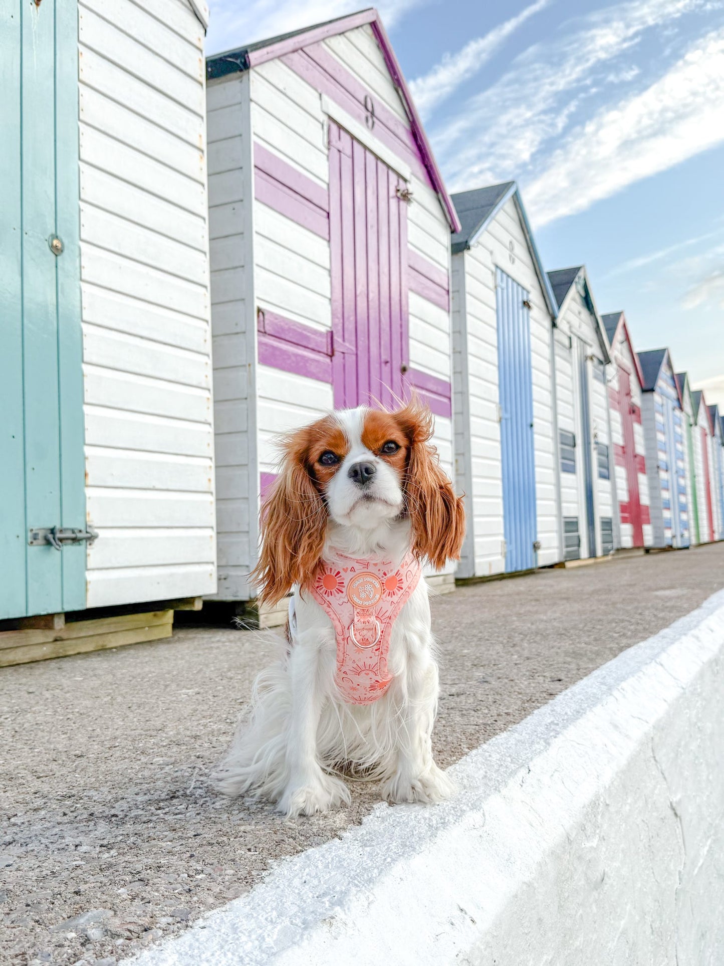 Golden Hour Harness