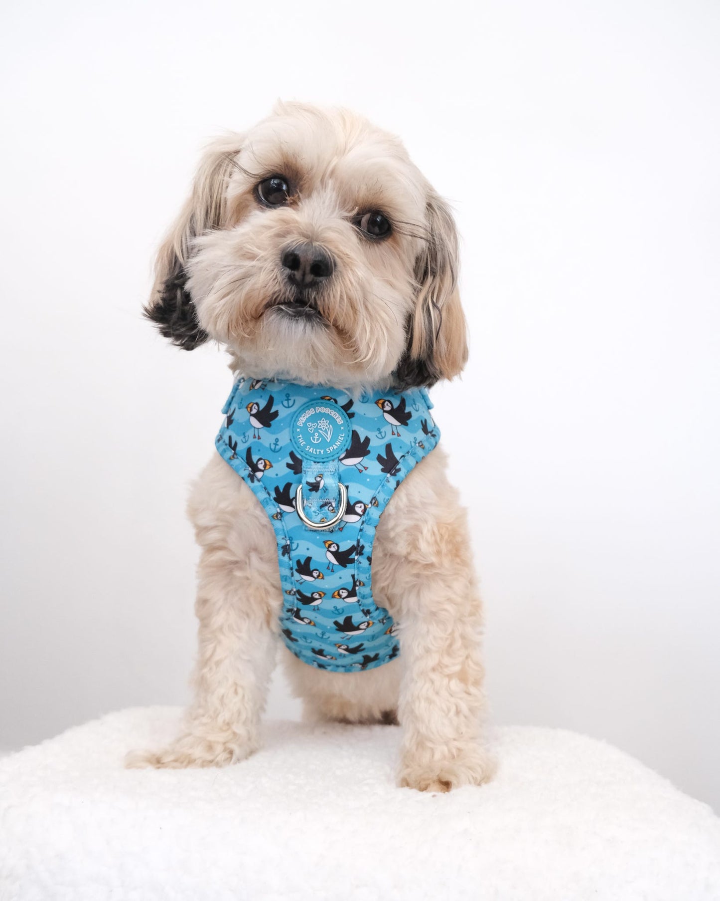 Puffin Awesome! Pembs X The Salty Spaniel - Harness