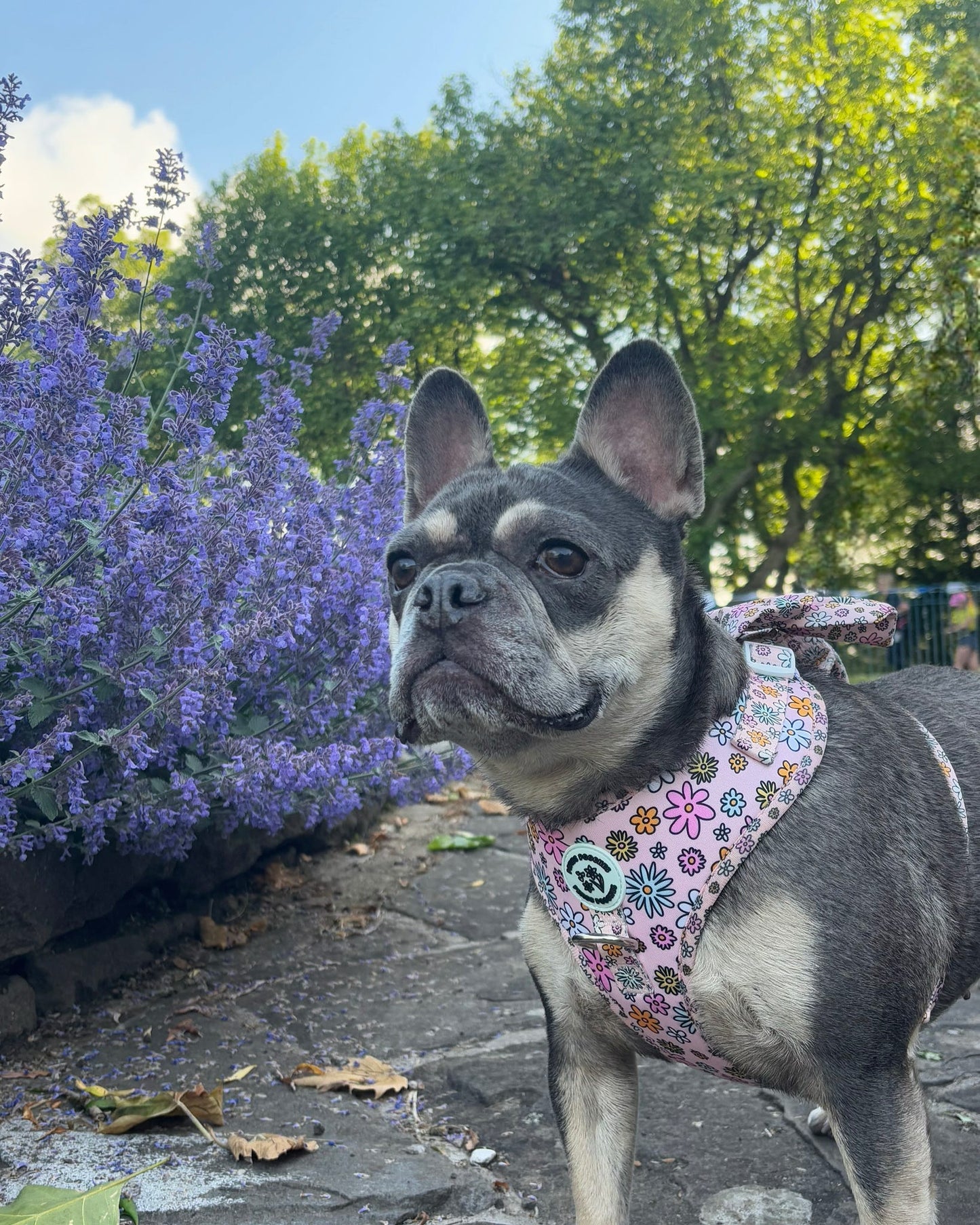 Floral Frenzy Harness