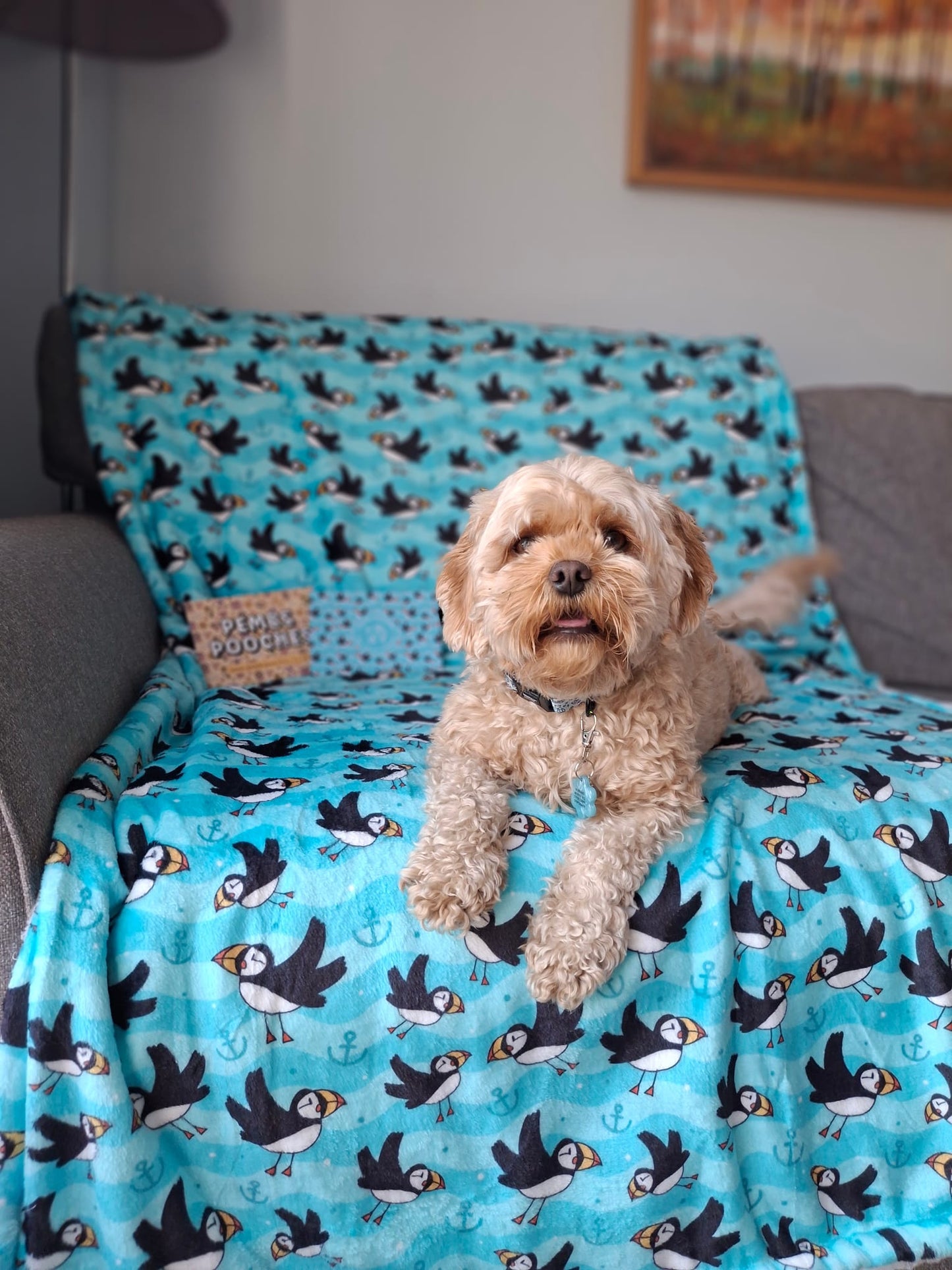 Puffin Awesome! Pembs X The Salty Spaniel - Blanket