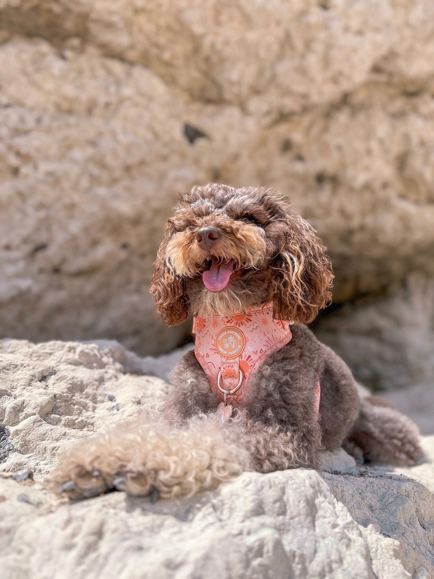 Golden Hour Harness
