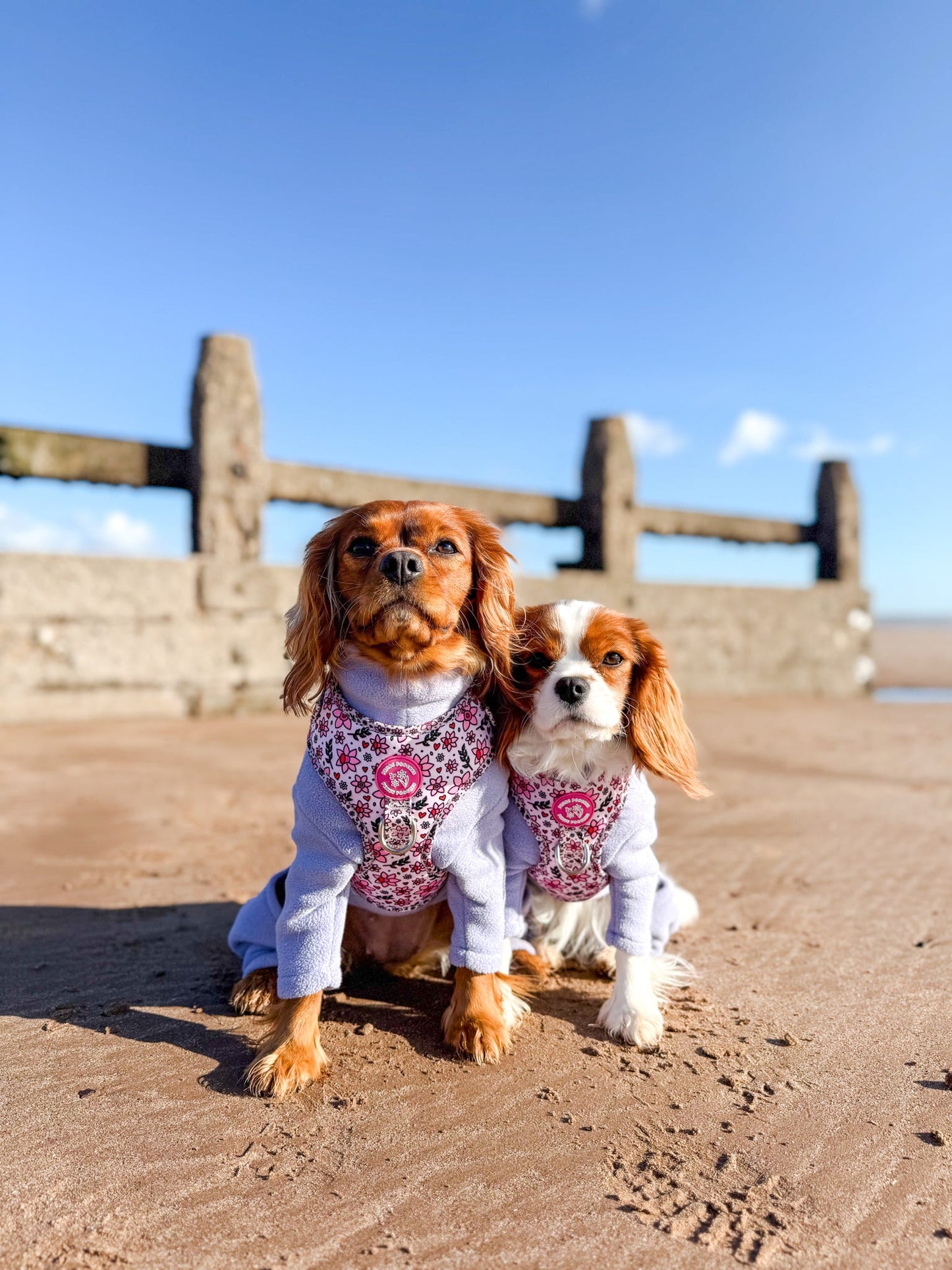 You Make Me Daff! Valentines Edition Harness