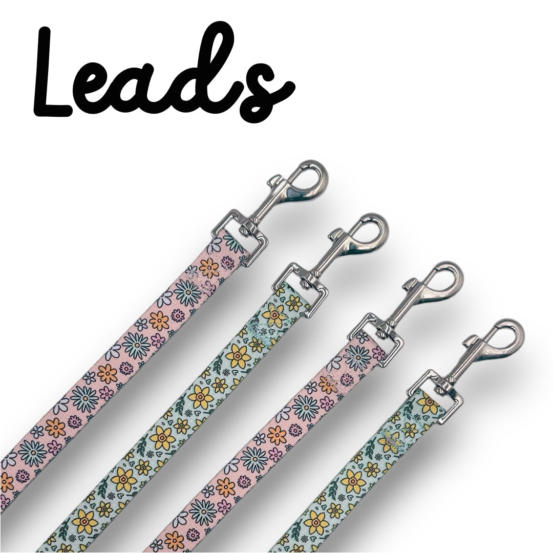 Leads