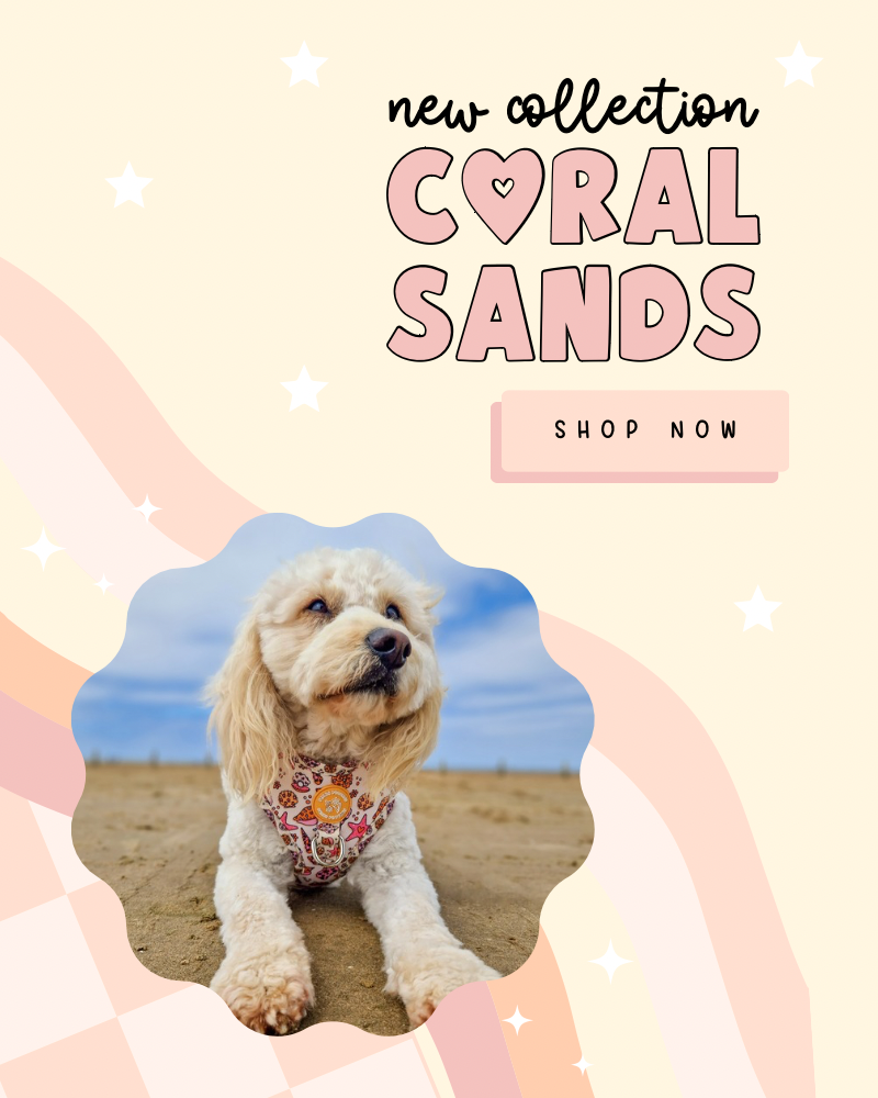 Coral Sands