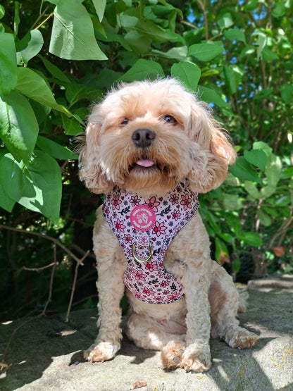You Make Me Daff! Valentines Edition Harness