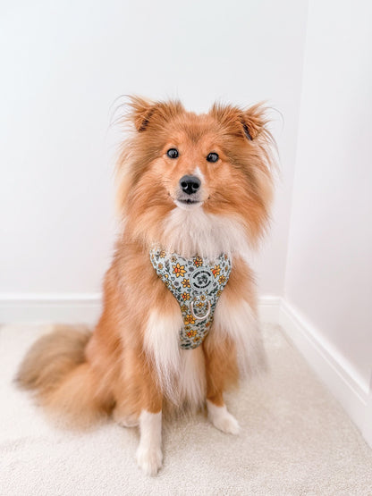 You Make Me Daff Harness