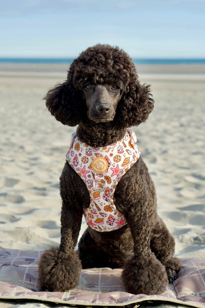 Coral Sands Harness