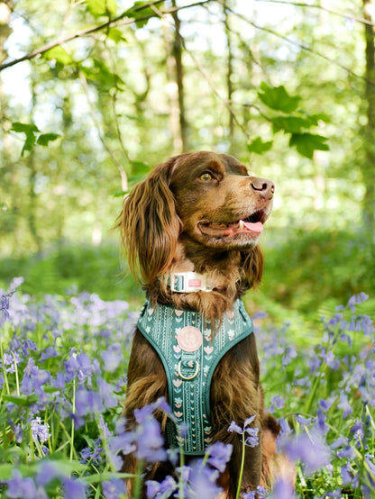 Evergreen Bloom Harness
