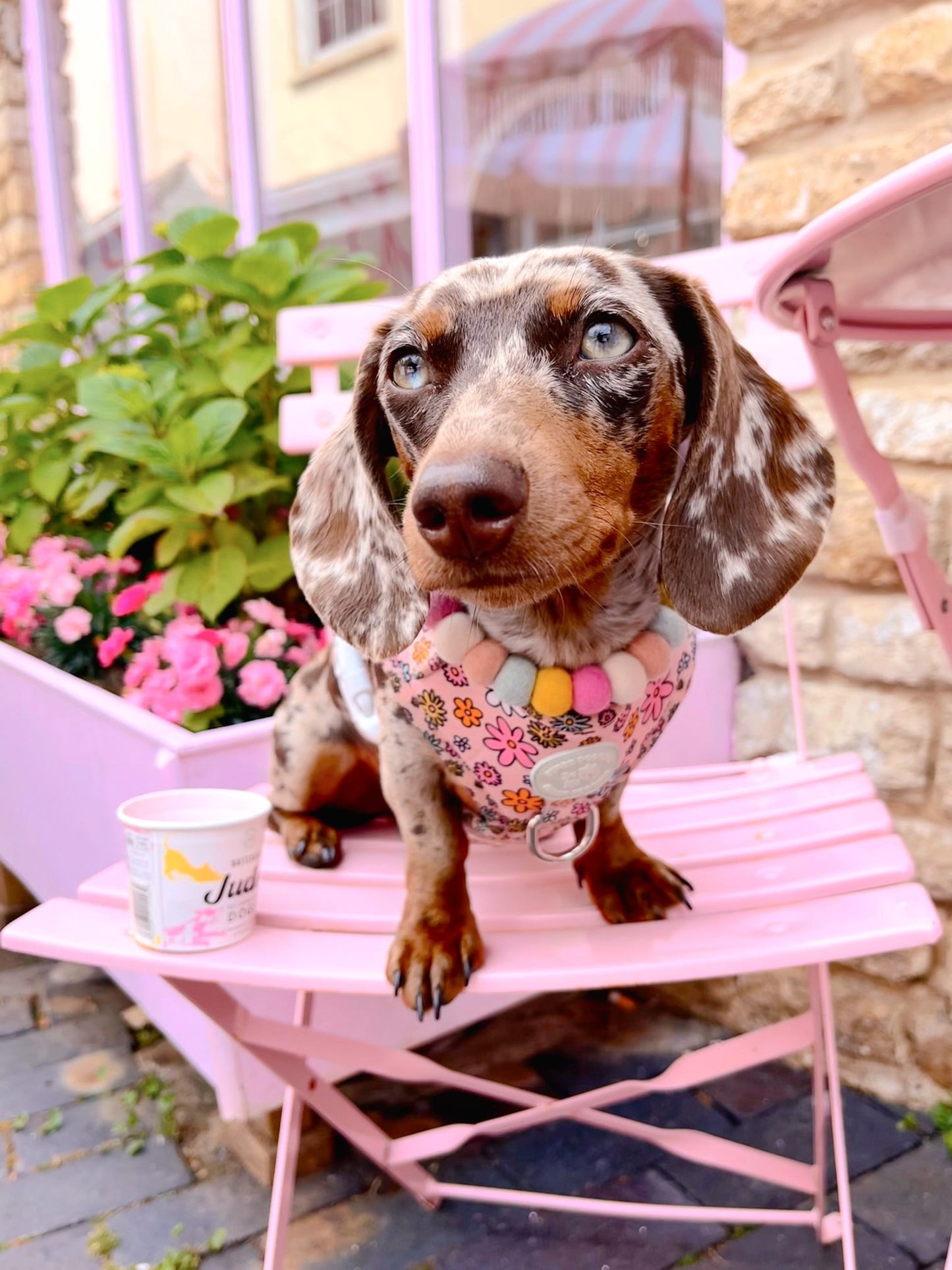 Floral Frenzy Harness