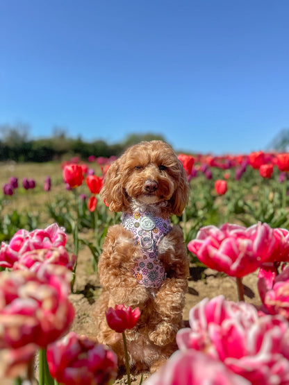Floral Frenzy Harness