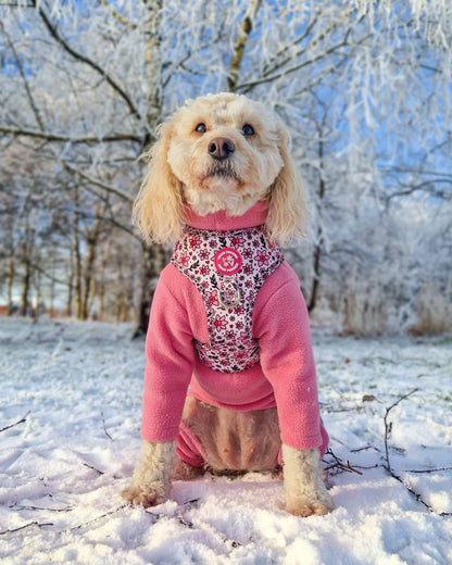 You Make Me Daff! Valentines Edition Harness