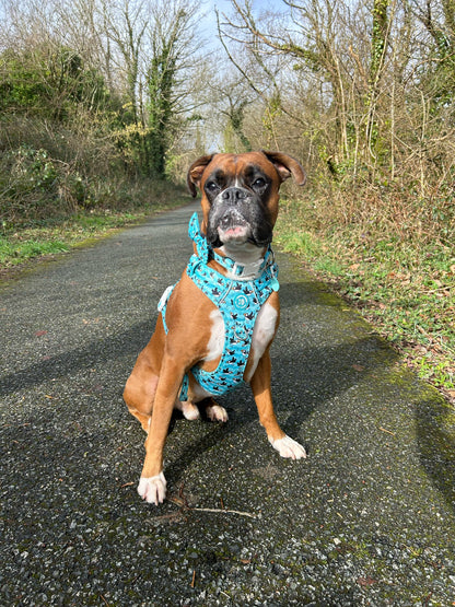 Puffin Awesome! Pembs X The Salty Spaniel -  Explorer Harness