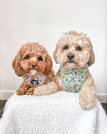 You Make Me Daff Harness