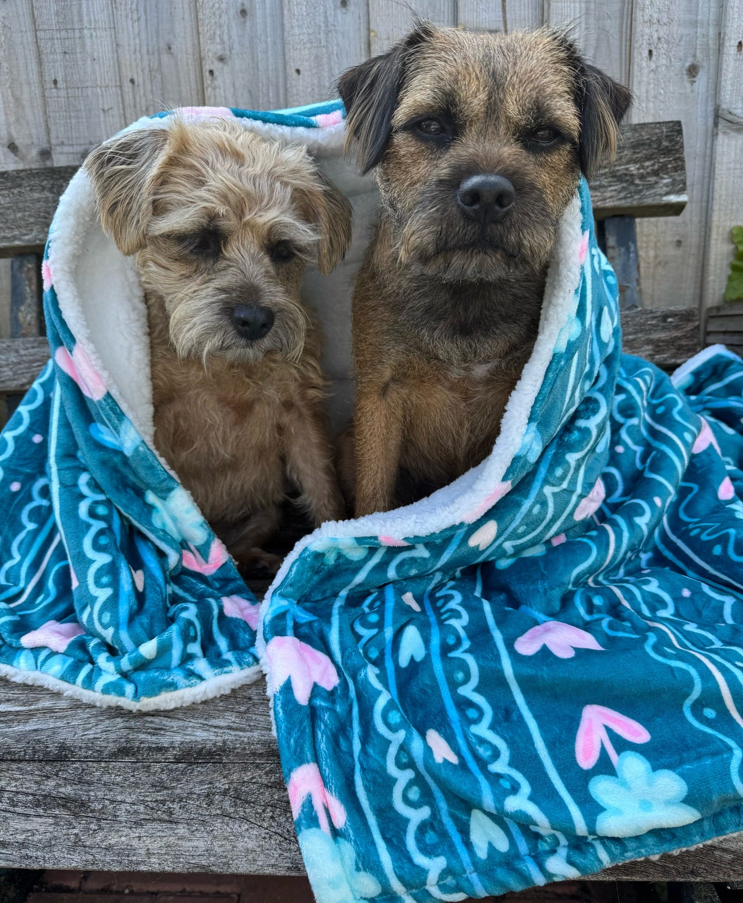 Evergreen Bloom Blanket