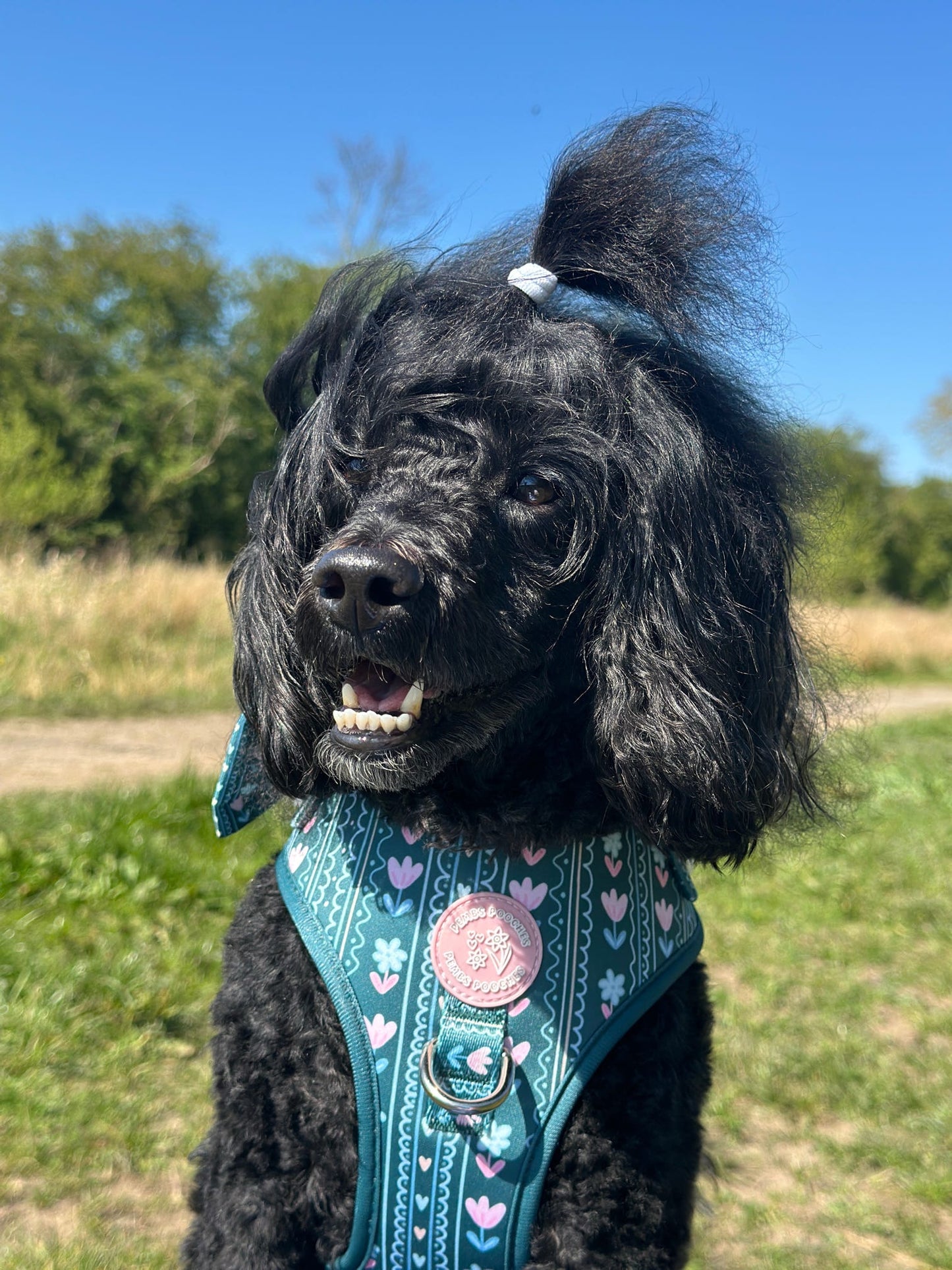 Evergreen Bloom Harness