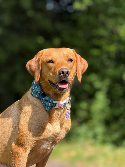 Evergreen Bloom Collar