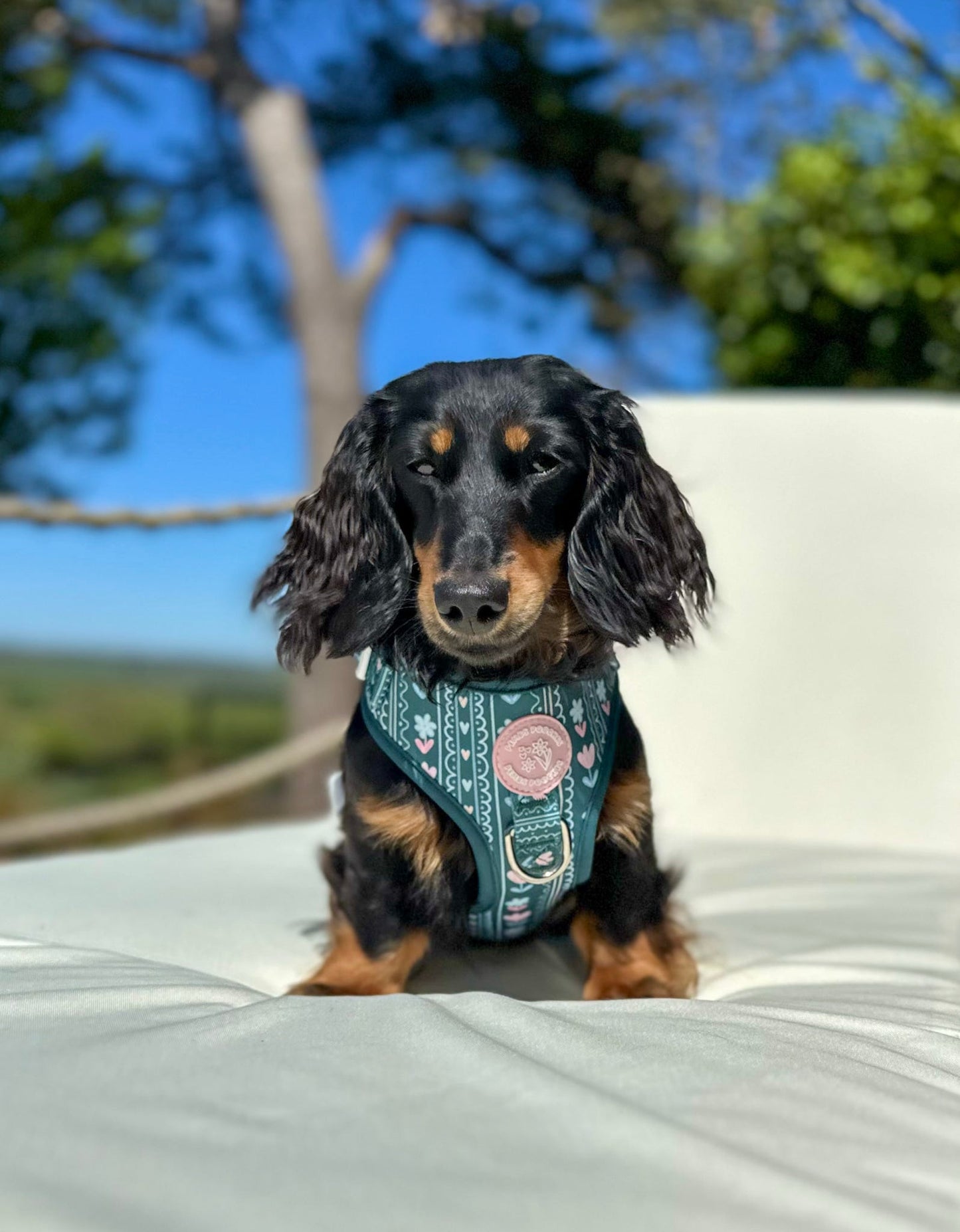 Evergreen Bloom Harness