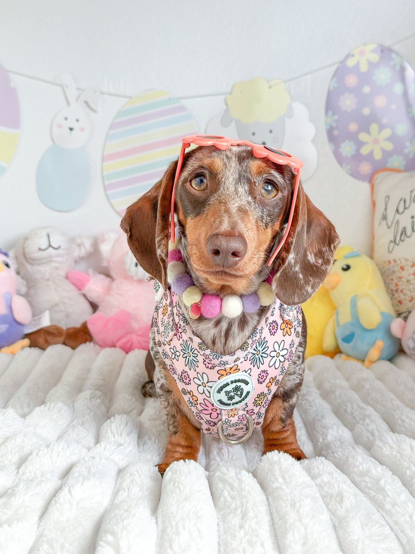 Floral Frenzy Harness