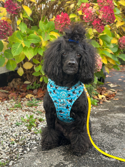 Puffin Awesome! Pembs X The Salty Spaniel - Harness