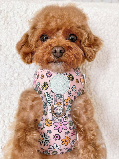 Floral Frenzy Harness