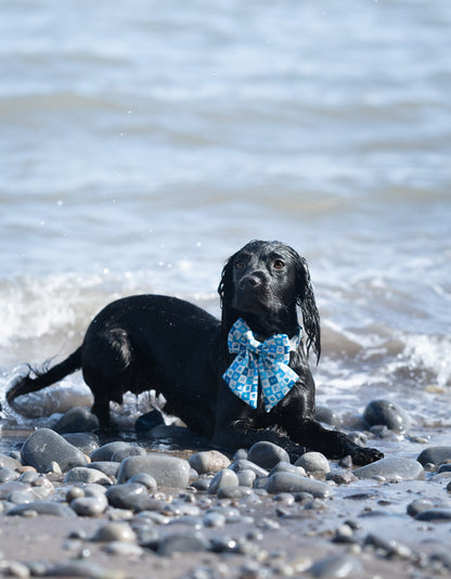 Seaside Soul! Pembs X The Salty Spaniel - Sailor Bow