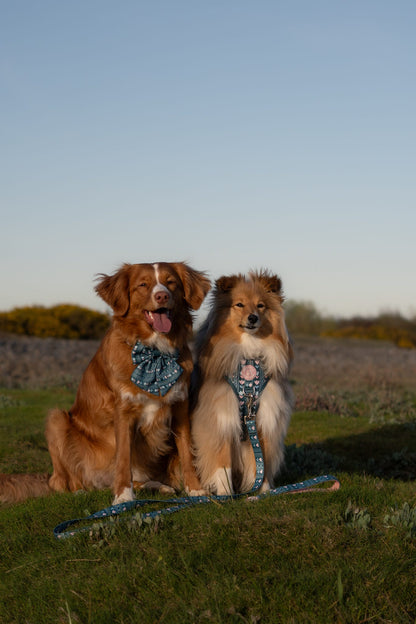 Evergreen Bloom Harness
