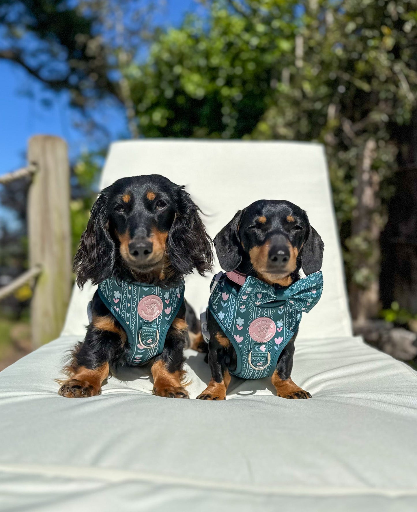 Evergreen Bloom Harness
