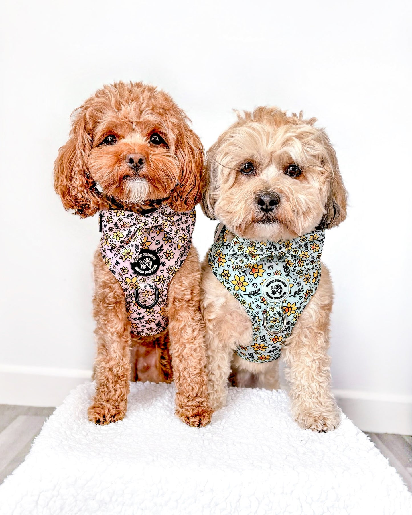 You Make Me Daff Harness
