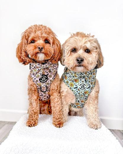 You Make Me Daff Harness