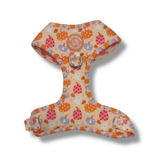 Too Cute To Spook! Harness