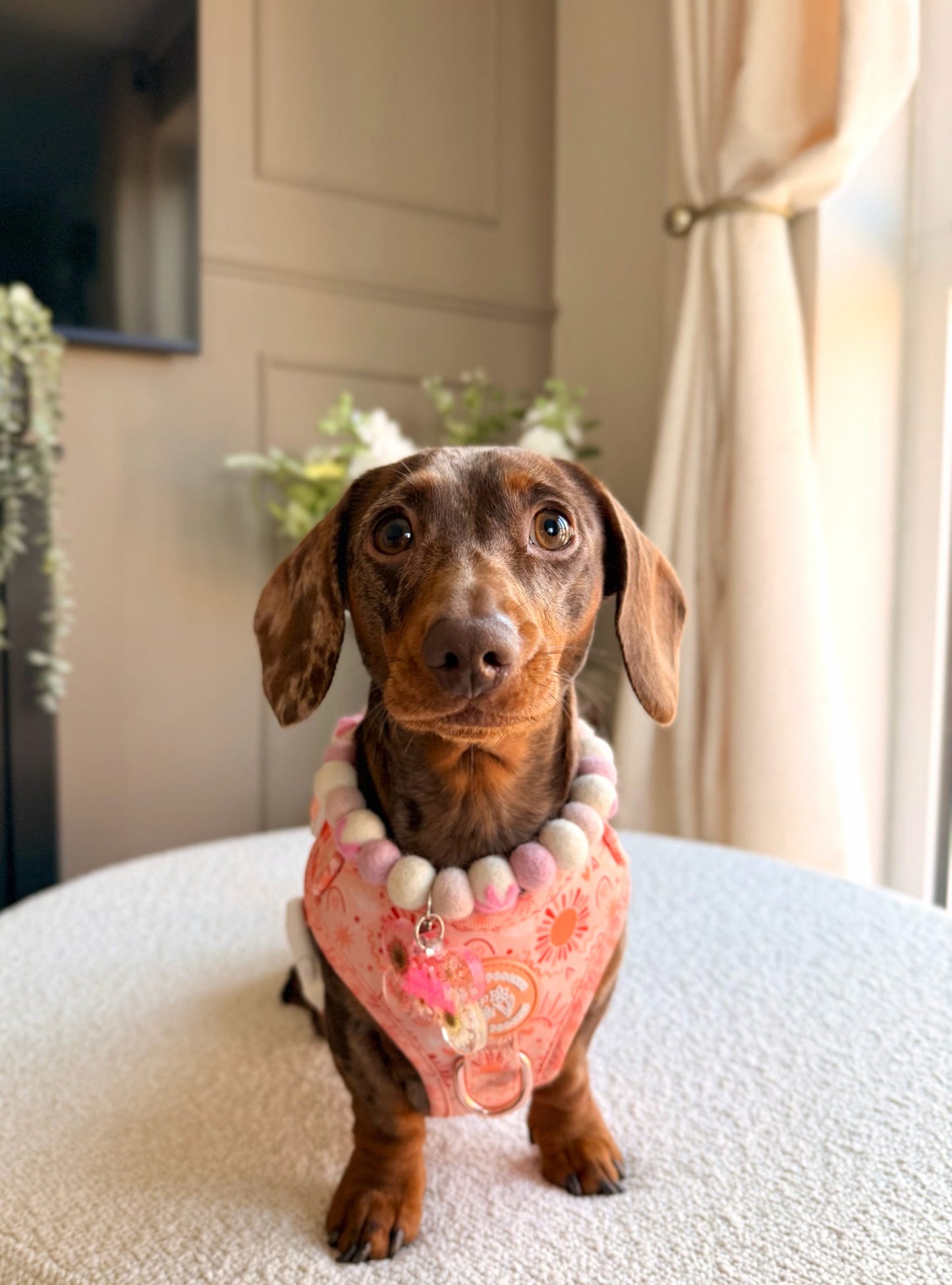 Golden Hour Harness