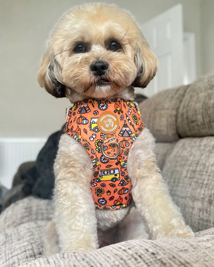 Paws and S’mores Harness