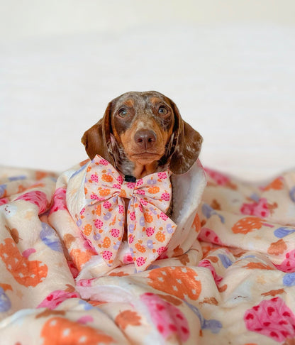 Too Cute To Spook! Harness