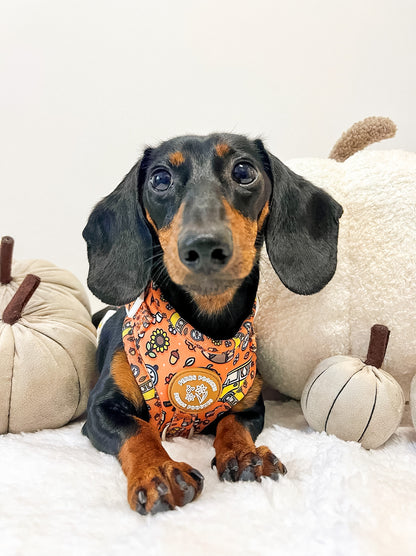 Paws and S’mores Harness