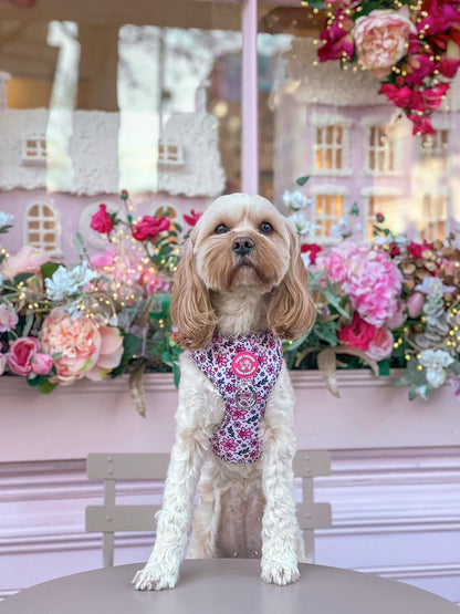 You Make Me Daff! Valentines Edition Harness