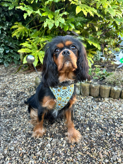 You Make Me Daff Harness