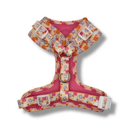 Too Cute To Spook! Harness