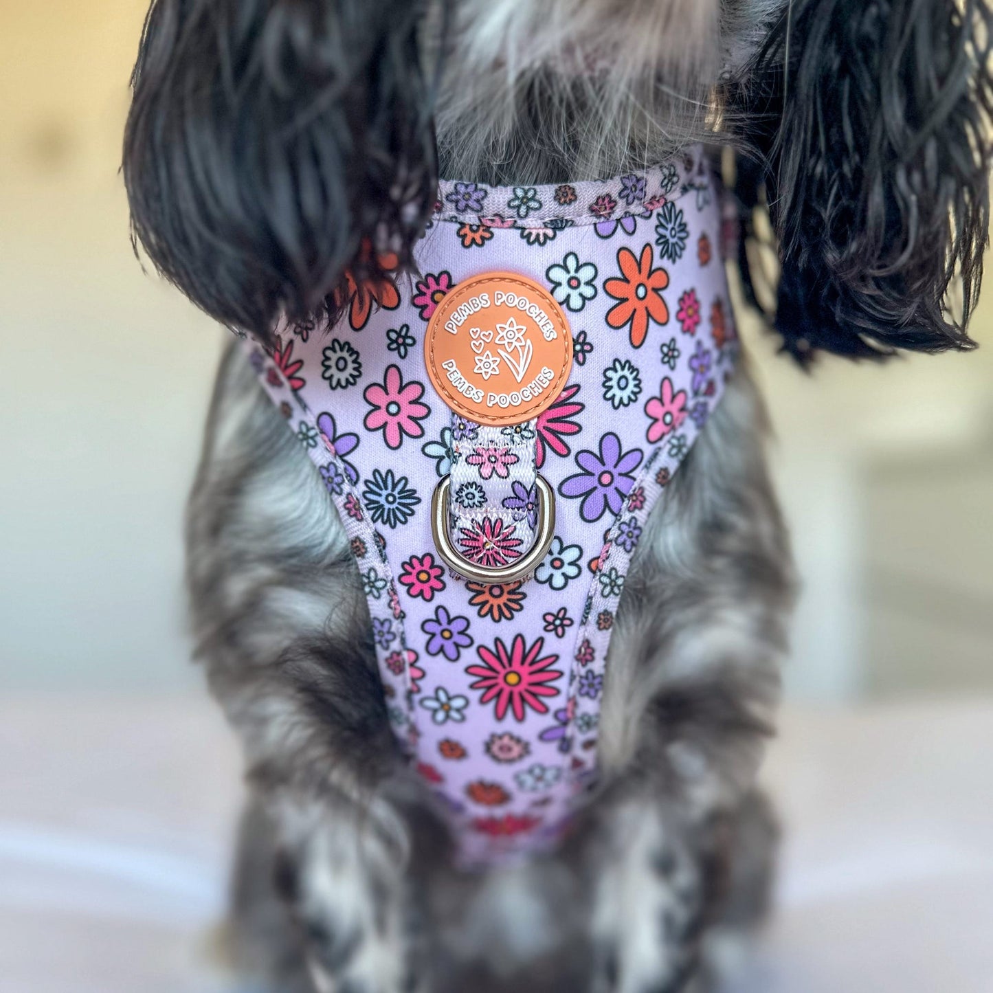 Daisy Daze - Harness