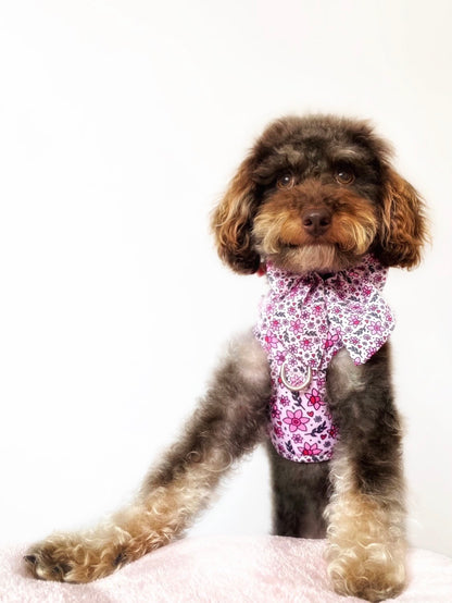 You Make Me Daff! Valentines Edition Harness