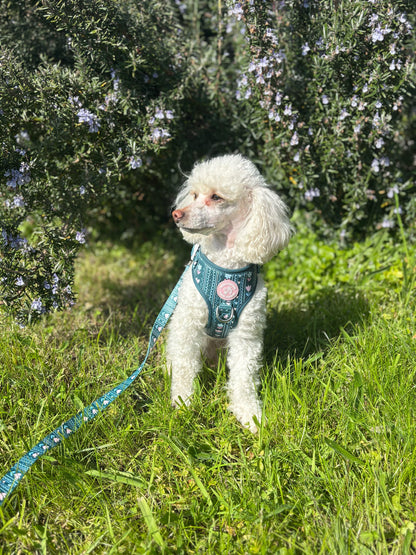 Evergreen Bloom Harness