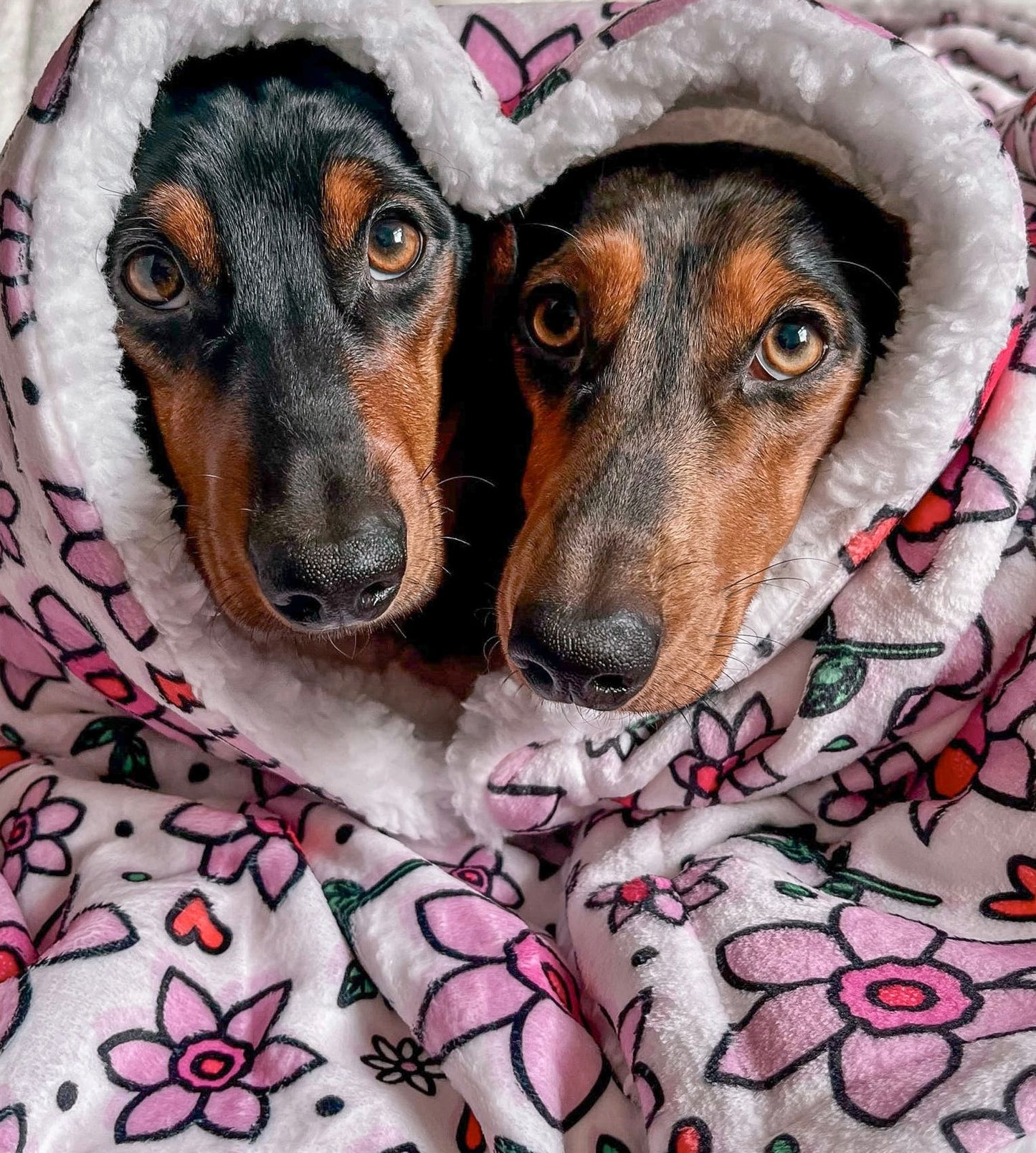 You Make Me Daff! Valentine Edition Blanket