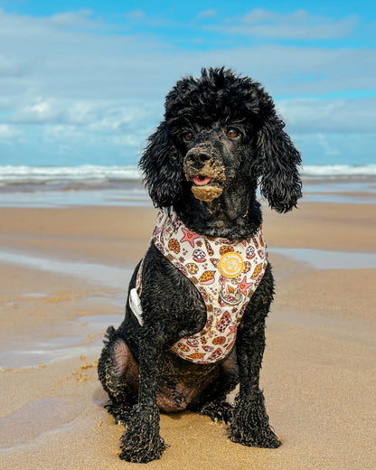 Coral Sands Harness