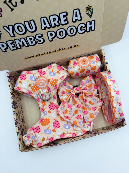 Too Cute To Spook! Harness