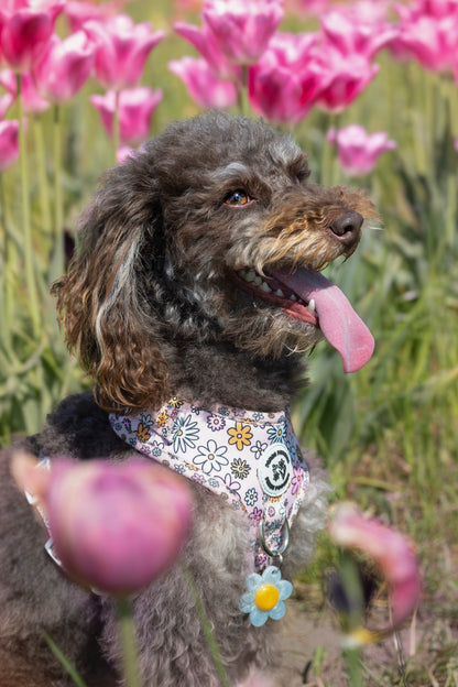 Floral Frenzy Harness