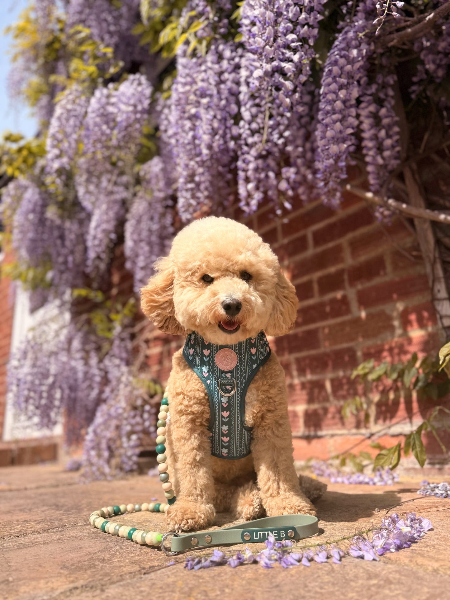 Evergreen Bloom Harness
