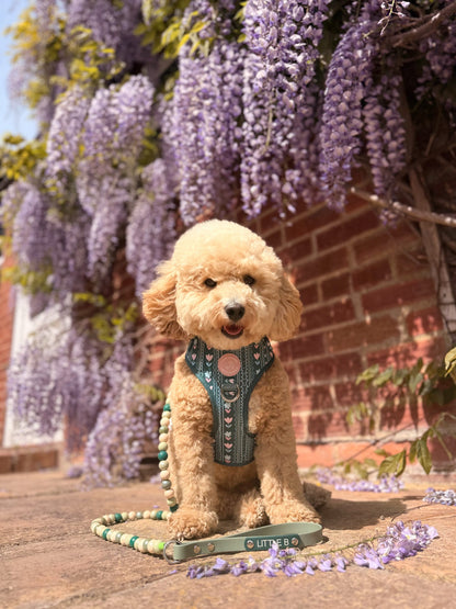 Evergreen Bloom Harness